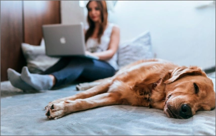 checking dog